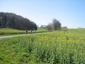 Bild 144